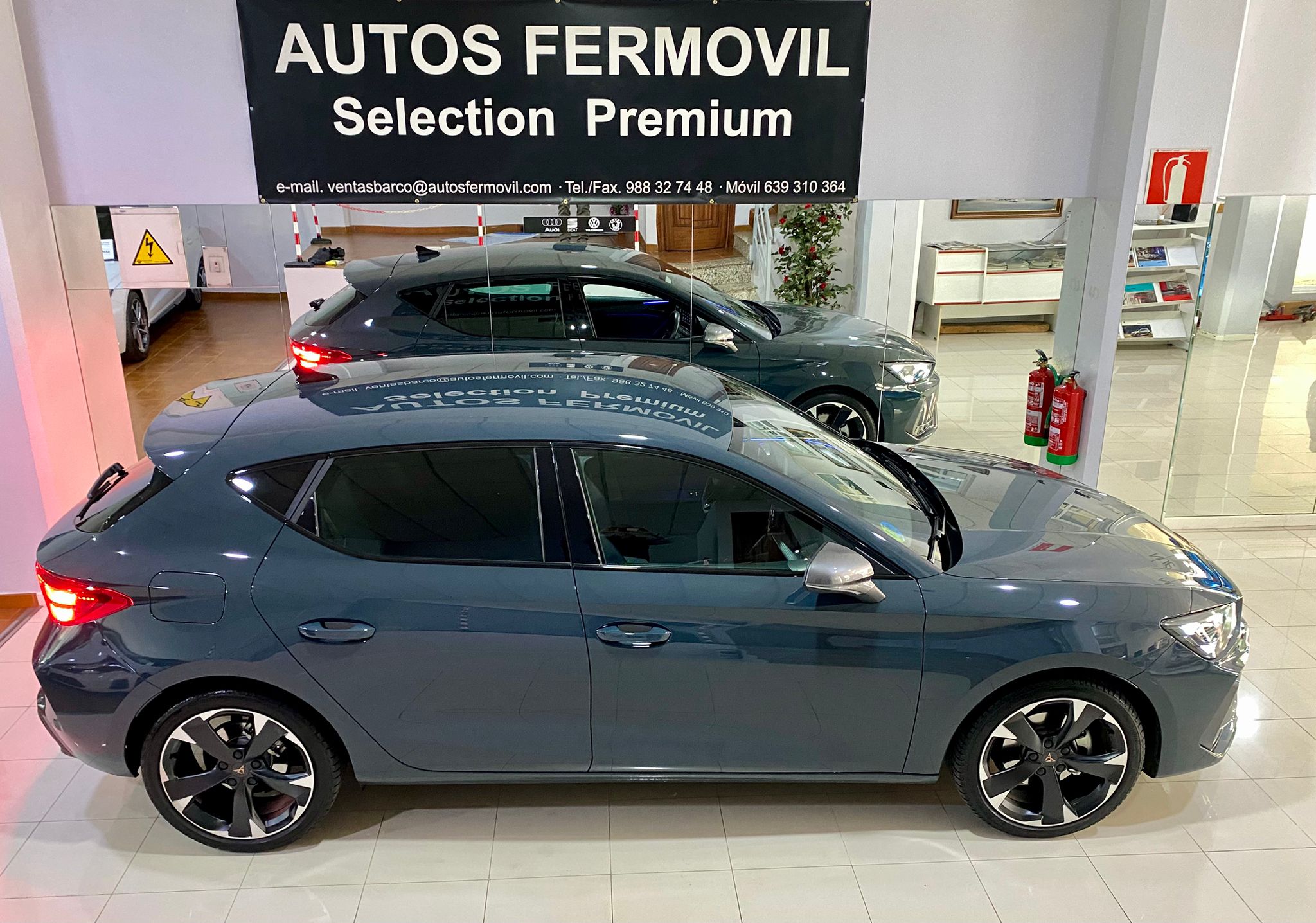 Cupra Leon eTSI 150cv DSG ECO